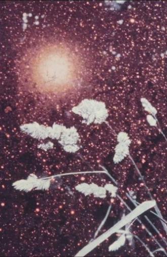 Winter Li (1981)