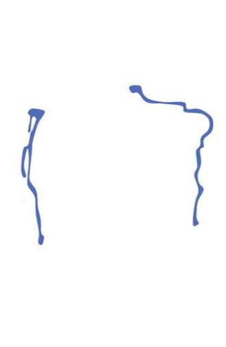 social justice whatever (2017)