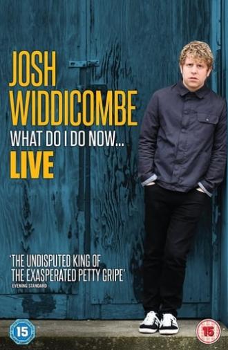 Josh Widdicombe: What Do I Do Now... (2016)