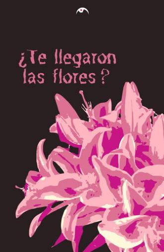 no se (2026)