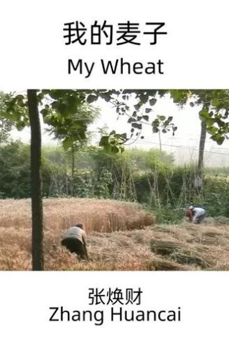My Wheat (2022)