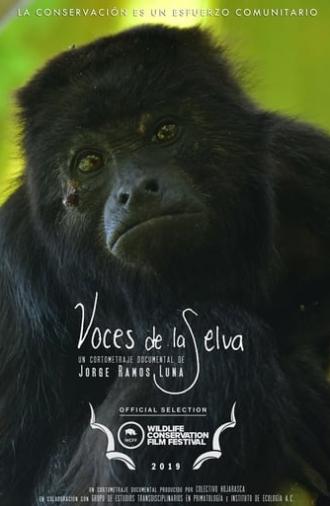 Rainforest Voices (2019)