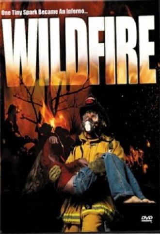 Wild Fire (2003)