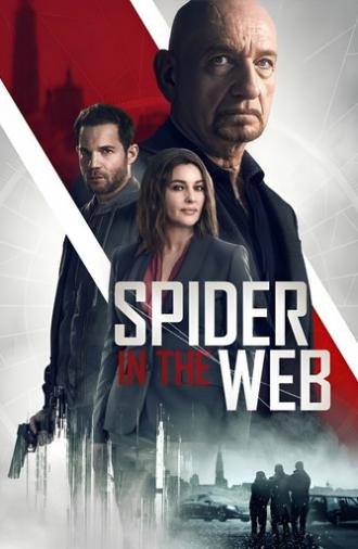 Spider in the Web (2019)