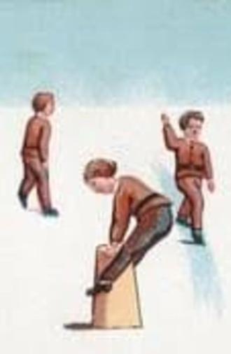The Slide (1878)
