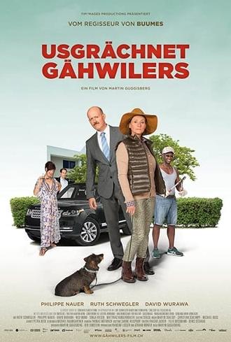 Meet The Gähwilers (2017)