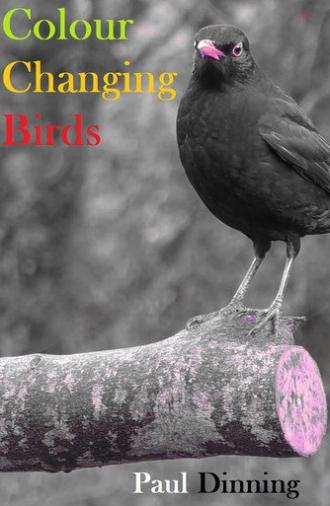 Colour Changing Birds (2023)