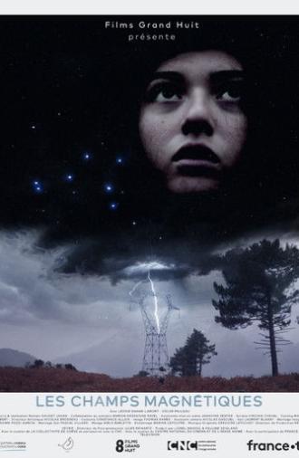 Magnetic Fields (2021)