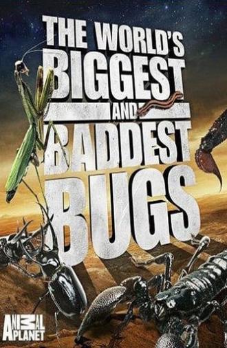 The World's Biggest and Baddest Bugs (2009)