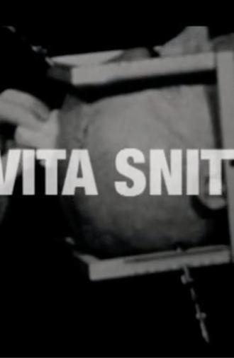 Det Vita Snittet (2010)