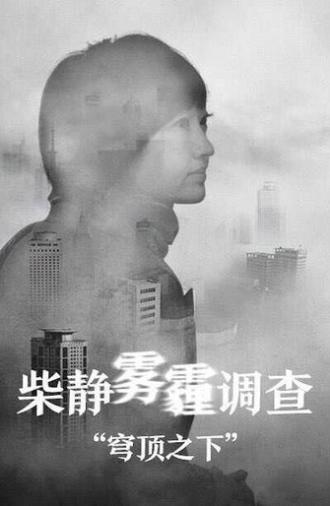 China's Haze: Under the Doom (2015)