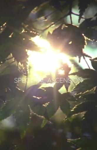 Spectral Ascension (2017)