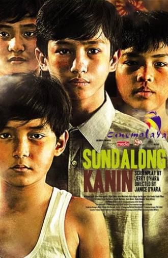 Rice Soldiers (2014)