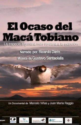 El Ocaso del Macá Tobiano (2012)