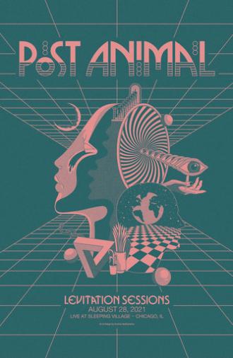 Post Animal - Levitation Sessions (2021)