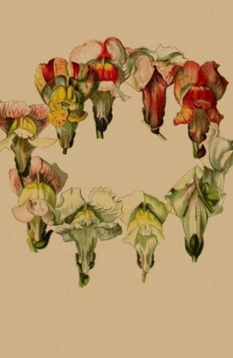 Stories In Place: Plante. (2020)