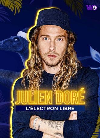 Julien Doré, l'électron libre (2022)