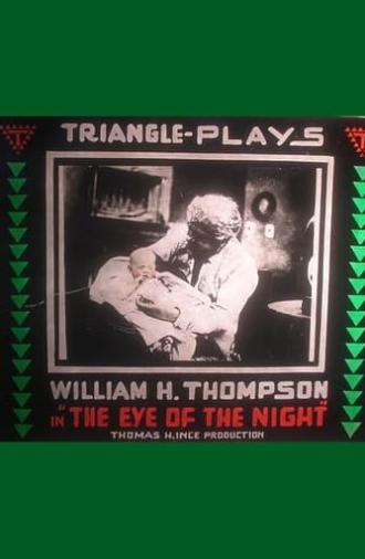 The Eye of the Night (1916)