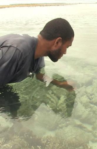 Pileni paualala. Dried giant clams in the Reef Islands (2022)