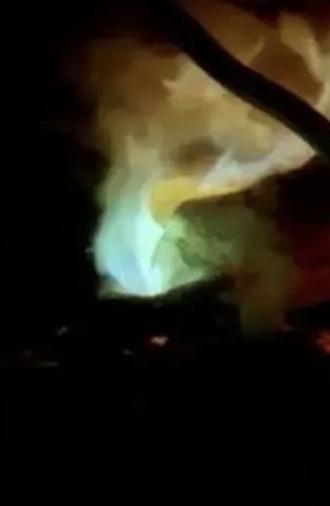 Vaastu Marabu (2004)