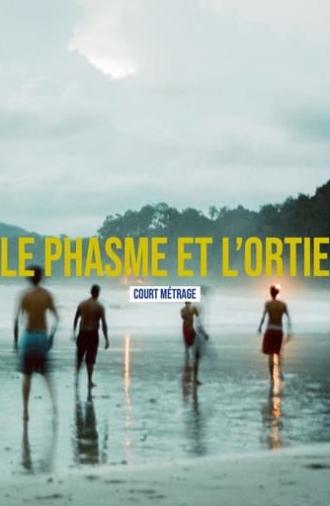 Le phasme et l'ortie (2021)