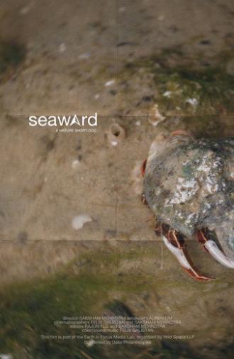 seaward (2025)