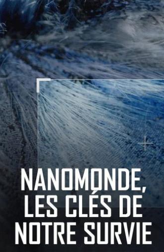Nanoworld, the key to our survival (2020)