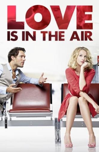 Love Is in the Air (2013)