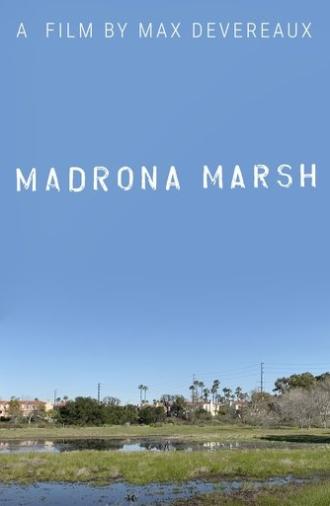 Madrona Marsh (2023)
