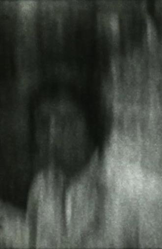 The Carnivore (2016)