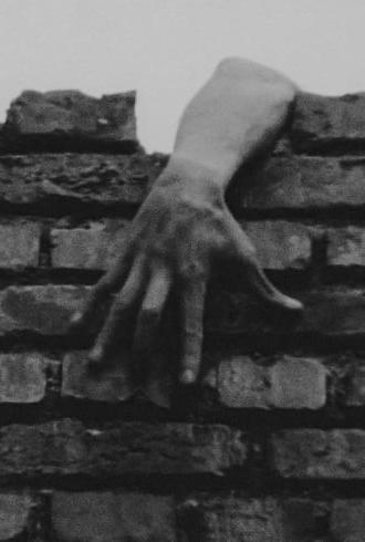 The Hole (1973)