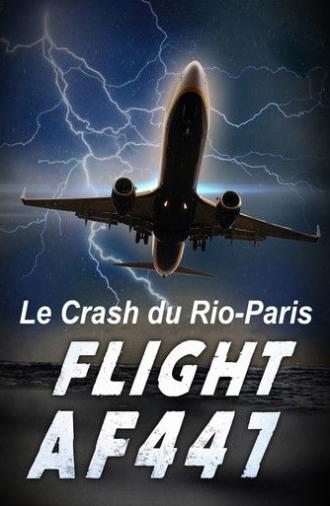 Vol AF 447, Le crash du Rio-Paris (2015)