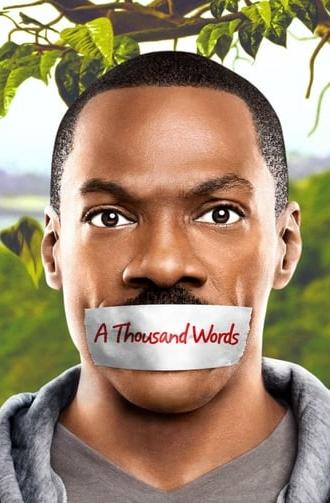 A Thousand Words (2012)