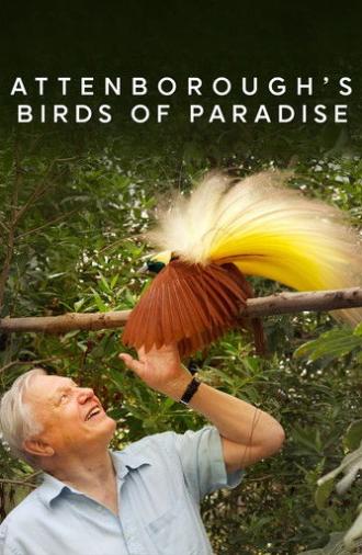 Birds of Paradise (2010)