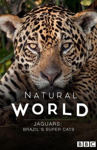 Jaguars: Brazil's Super Cats (2016)