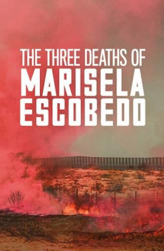 The Three Deaths of Marisela Escobedo (2020)