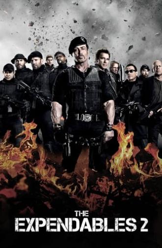 The Expendables 2 (2012)