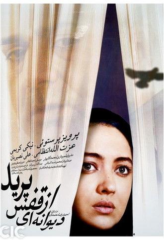 The Insane Flew Away (2003)