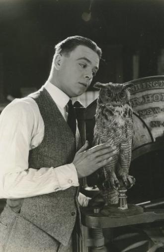 The Jailbird (1920)
