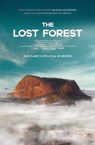 The Lost Forest (2020)