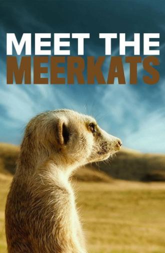 Meet the Meerkats (2022)