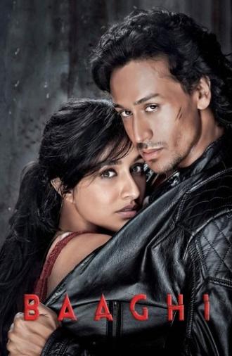 Baaghi (2016)