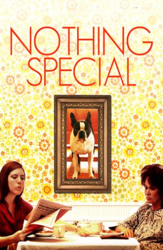 Nothing Special (2010)