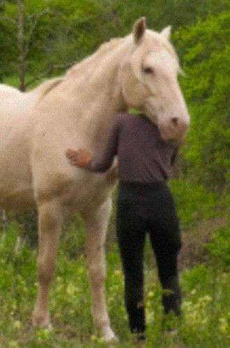 Le silence entre les notes (2023)