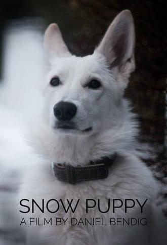 Snow Puppy (2018)