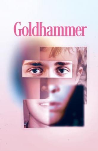 Goldhammer (2023)