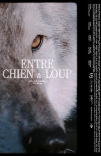 ENTRE CHIEN & LOUP (2025)