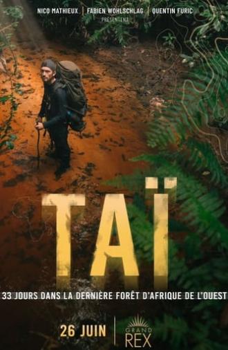 TAÏ: 33 days in the last primary West African forest (2024)