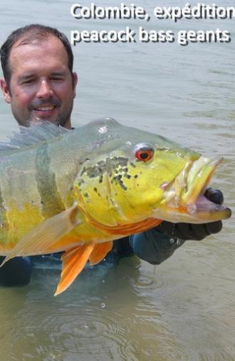 Colombia, A Giant Peacock Bass Expedition (2019)