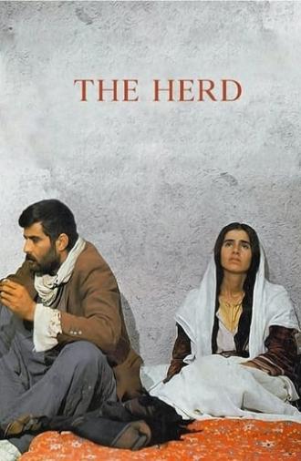 The Herd (1979)